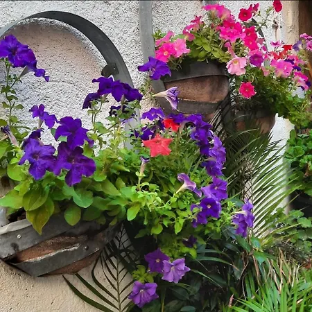 Maison Du Coquelicot Bed & Breakfast Tourouzelle